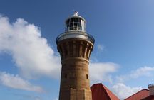 Sydney harbour and ocean beaches, Ku-Ring-Gai National Park