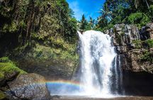 Bali Majestic Waterfall Tour