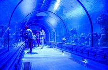 Grand Aquarium Museum Hurghada With Transfer in Hughada