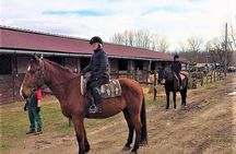 Private Horse Riding near Budapest with transport