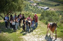 Crete Finikia and Giouchtas Mountains Horse Riding Tour with Lunch