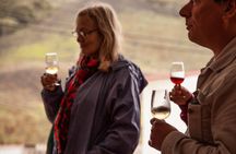 Half day to Bandama Caldera, Botanical experience & Wine-Tasting