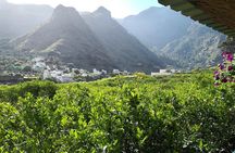 Day Tour in North of Gran Canaria with Wine Tasting