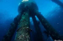 Guided Dive on Coral Reefs for Certified Divers
