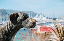 Best of the Cape Peninsula Private Tour