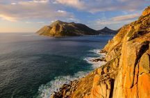 Best of the Cape Peninsula Private Tour