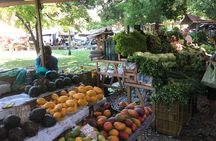Rio Market Experience: Flavors, Art & Local Life