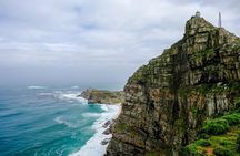 Best of the Cape Peninsula Private Tour