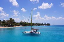 Shasa private catamran sailing cruise, Snorkel with turtles. 