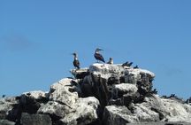 4-Day Galapagos Islands Express Tour