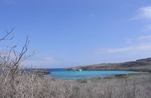 4-Day Galapagos Islands Express Tour