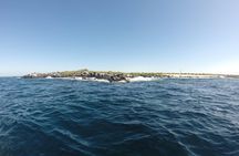 4-Day Galapagos Islands Express Tour