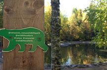 Guided Ranua Wildlife Park tour with Lunch, Small group adventure