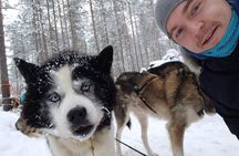 Santa Claus Village Guided Tour & Arctic Animals Adventure