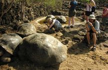 4- or 5-Day Galapagos Islands Explorer Package from Santa Cruz Island