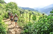 Ciudad Perdida 4-Day trek from Santa Marta