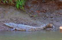 Palo Verde RiverRide From Guanacaste