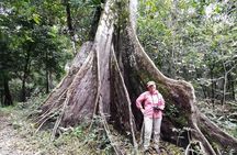 Full Nature 4 Days 3 Nights - Amazon Wonder Expeditions