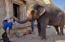 3 day private tour of Hampi from Bangalore by flight with guide and hotel