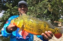 All Day Peacock Bass Fishing Trip near Key Largo