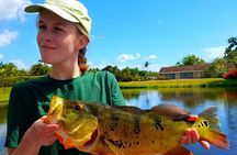 All Day Peacock Bass Fishing Trip near Key Largo