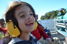 New Orleans Airboat Ride