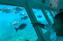 Glass Bottom Boat Tour and West Bay Beach