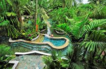 Arenal Volcano Lava Trail and Baldi Hot Springs with Dinner