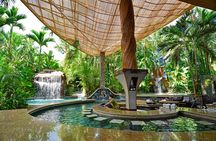 Arenal Volcano Lava Trail and Baldi Hot Springs with Dinner