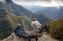 Inside the Greater Blue Mountains World Heritage - A Wildlife Safari Overnight