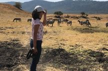 4 days Safari Lake Manyara, Ngorongoro crater and Serengeti