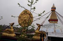 Mountains, Wildlife and Culture Tour