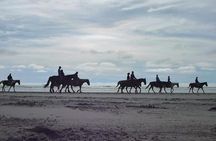 Las cañadas ecopark and horseback riding private tour
