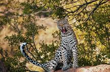 3 Days 2 nights Amboseli Daily Departures