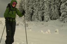 Learn to Cross Country Ski in Lake Louise