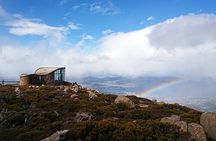 kunanyi/Mt Wellington Explorer Bus- Return Tour (2.5 hours)