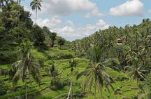 Bali ATV Quad Bike with Kintamani Volcano and Ubud Tour