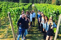 Fraser Valley Wine Tour