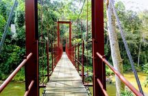 Sinharaja Rainforest Tour