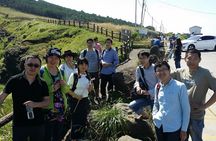 Jeju island: Van tour with a guide who the most loves JEJU