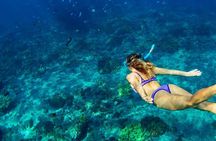 Island hopping featuring Hvar, Trogir & Blue Lagoon from Split