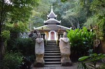 Half Day Doi Suthep Temple and Palad Temple (Private tour)