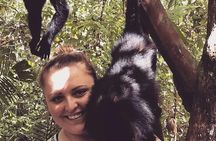 PRIVATE Zipline & Baboon Sanctuary Experience 