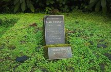 1 Day Dian Fossey Tomb Hike 