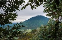 1 Day Dian Fossey Tomb Hike 