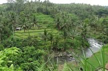 Ubud Rice Terraces eBike Private Tour 