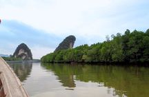 Mangrove Boat Tour in Krabi