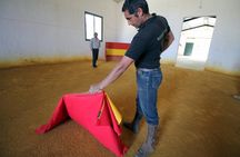 Andalucia Bull and Horse Farm and Ronda Private Tour from Malaga