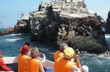 15-Day Peru Tour from Lima Including Paracas, Arequipa and Puno