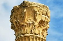 Samos:Day Cruise Kusadasi and Ephesus A taste of Turkey